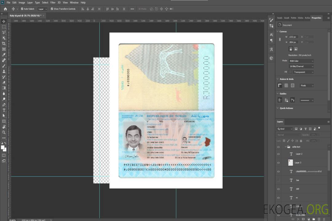 Passeport Du Tchad nouveau 2021-présent template Passeport Du Tchad nouveau 2021-présent template